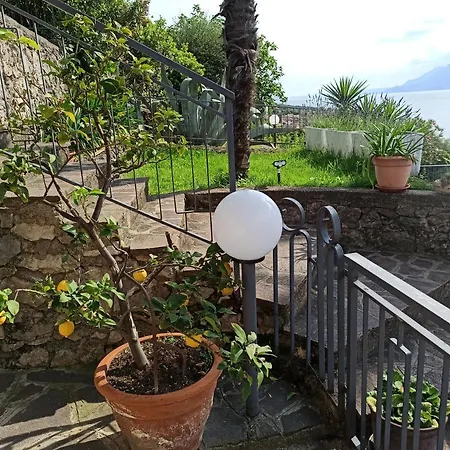 The View House Daire